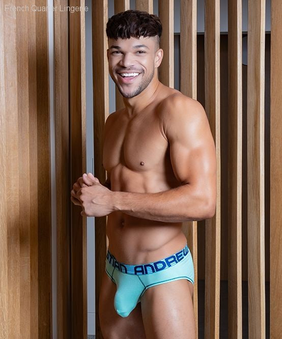 ALMOST NAKED® Hang-Free Brief-French Quarter Lingerie ALMOST NAKED® Hang-Free Brief-French Quarter Lingerie