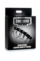 Cock Gear Gates of Hell Chastity Device