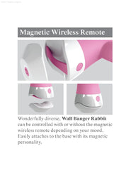 Wall Banger Rabbit Wall Banger Rabbit