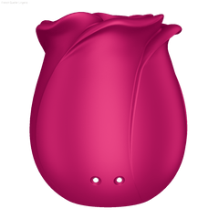 Rechargeable Vibrators - Pro 2 Classic Blossom - Air-Pulse Vibrator Rechargeable Vibrators - Pro 2 Classic Blossom - Air-Pulse Vibrator