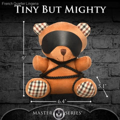 Rope Bondage Teddy Bear