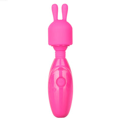 Tiny Teasers® Bunny