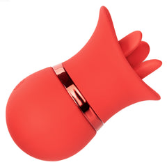 French Kiss™ Suck & Play Interchangeable Set-French Quarter Lingerie
