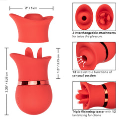 French Kiss™ Suck & Play Interchangeable Set-French Quarter Lingerie