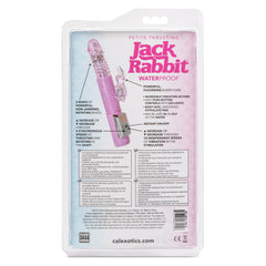 Petite Thrusting Jack Rabbit