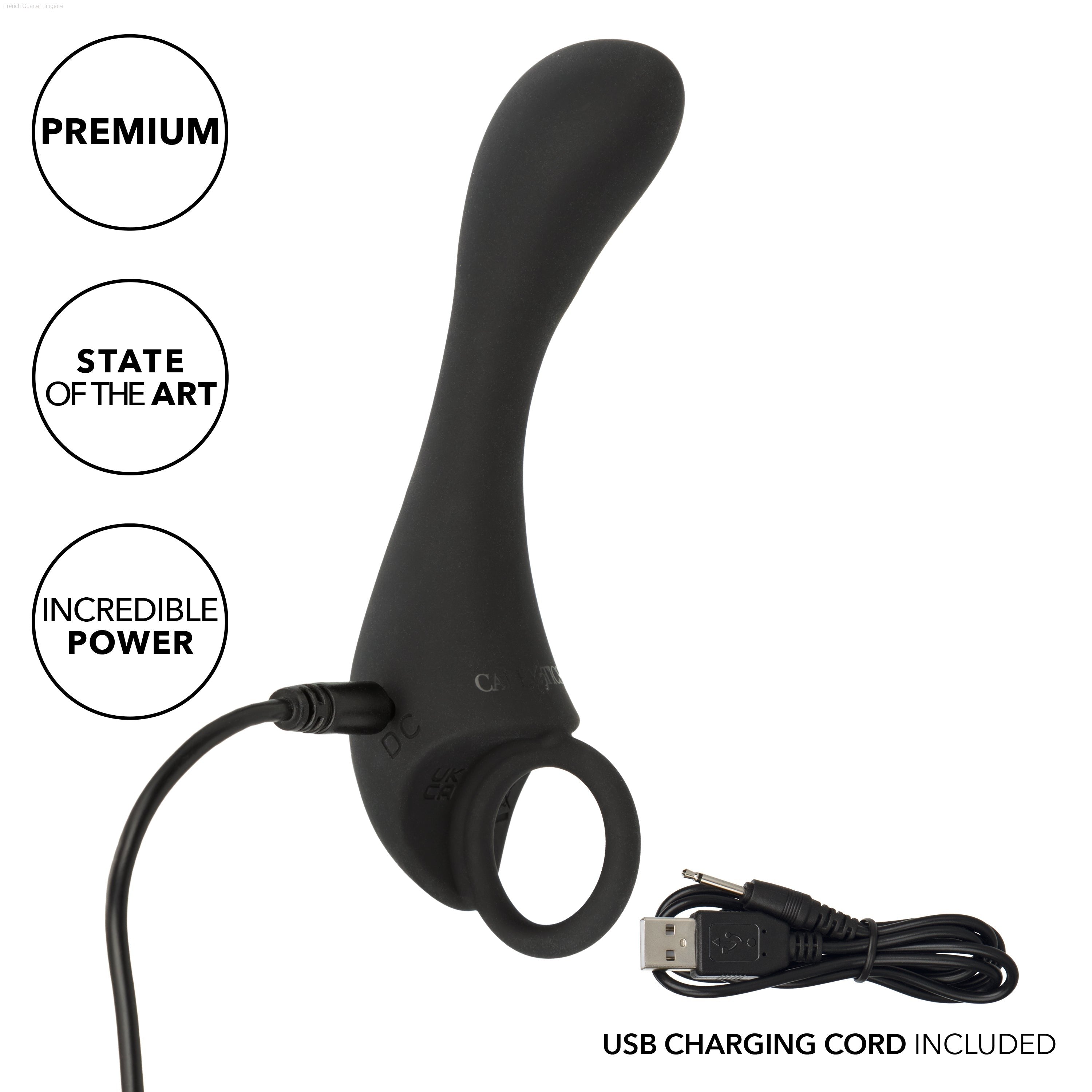 Dr. Joel Kaplan® Rechargeable Prostate Locator-French Quarter Lingerie