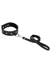 Leather Leash and Collar Set