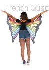 Rainbow Butterfly Wings