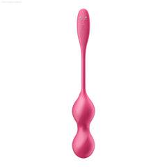 Rechargeable Vibrators - Satisfyer Love Birds 2 Bluetooth Connect App